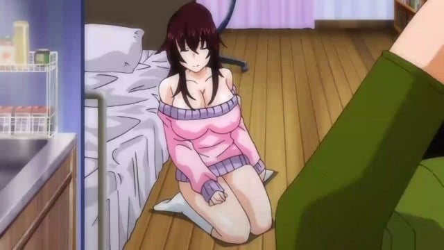 20+ Of The Greatest Hentai Anime Series To Help Get Your Fill 34 Fella Hame Lips