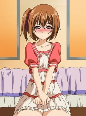 14+ Hentai Studios That Produce Mouth Watering Shows! 83 Otome Hime