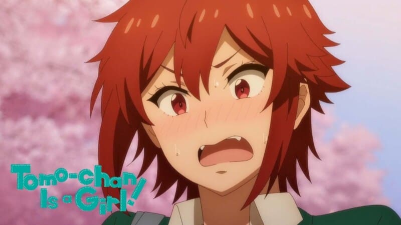 20+ Fetish Anime Shows That Will Satisfy Your Curiosity 32 Tomo Chan Is A Girl aizawa blush