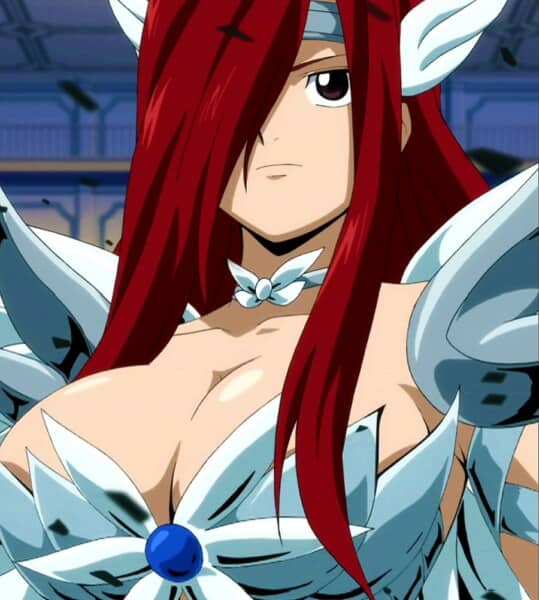 Why Anime Celebrates Women Better Than Any Other Medium 41 erza scarlet heavens wheel