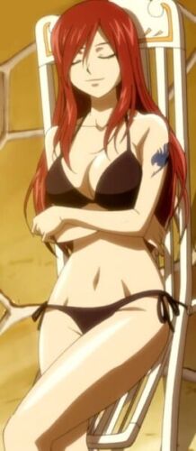33+ Smoking Hot Anime Girls You Wish Were Real 27 erza scarlet sexy black swimsuit 1