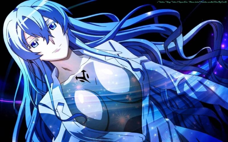33+ Smoking Hot Anime Girls You Wish Were Real 43 esdeath wallpaper boobs hot anime akame ga kill