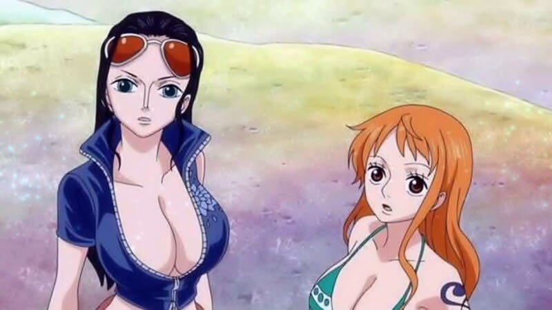 One Piece Gallery Images 25 one piece fanservice tiddies