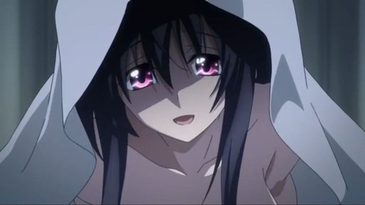 The Greatest Harem Anime Waifu's Of All Time That Will Impress 40 Akeno High School DxD harem girl