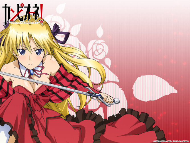 The Greatest Harem Anime Waifu's Of All Time That Will Impress 34 Erica Blandelli Campione waifu