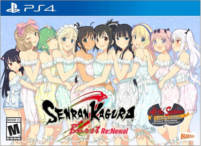 17+ Of The Best Ecchi Anime Games You Should Consider Playing 34 Senranxkaguraxburst