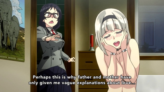 Why Anime Celebrates Women Better Than Any Other Medium 43 Ayame Kajou And Anna Shimoneta