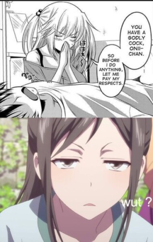 The Most Popular Hentai Tags and What They Mean 40 incest meme