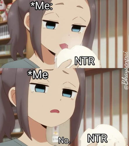 The Most Popular Hentai Tags and What They Mean 34 ntr meme