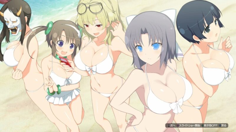 Who Are Hentai Games Suited For? 28 shiki and other senran kagura girls ecchi 222