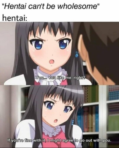 Love It or Hate It — These Hentai Facts Are Impossible To Ignore 33 hentai meme