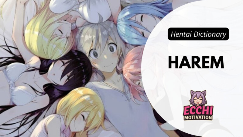 harem terms glossary - ecchi motivation Harem