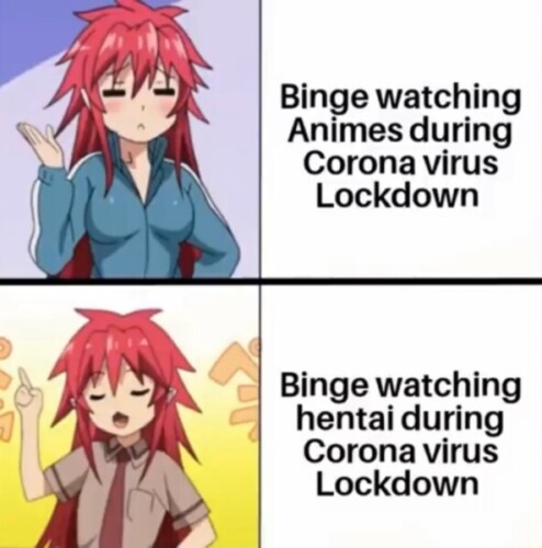 Hentai Movies Vs Hentai Games: Which One Is Better? 28 hentai meme binge e1759410292960